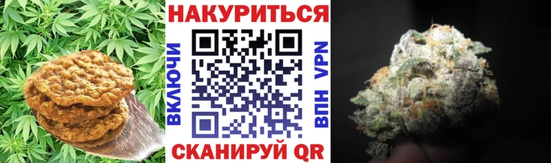 Canna-Cookies конопля  купить наркоту  Дальнегорск 