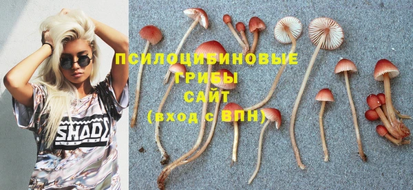 герыч Белокуриха