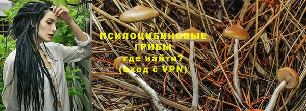 ALPHA PVP Белоозёрский
