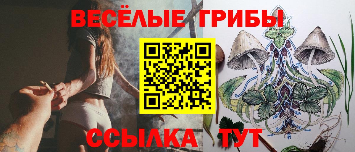 Псилоцибиновые грибы Magic Shrooms Дальнегорск