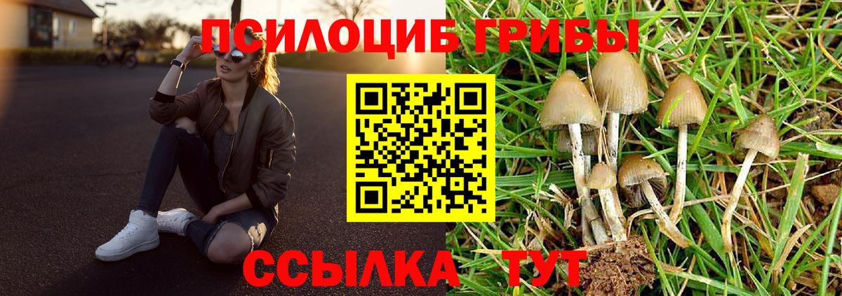 наркошоп  Галлюциногенные грибы Psilocybine cubensis  Вход с VPN  Дальнегорск 